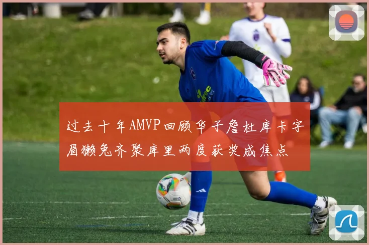 过去十年AMVP回顾华子詹杜库卡字眉獭兔齐聚库里两度获奖成焦点