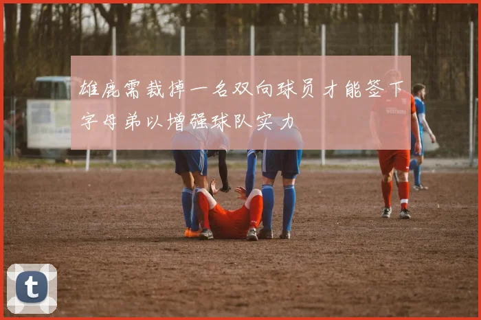 雄鹿需裁掉一名双向球员才能签下字母弟以增强球队实力