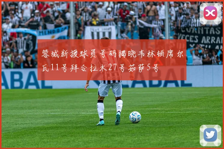 蓉城新援球员号码揭晓韦林顿席尔瓦11号拜合拉木27号茹萨5号