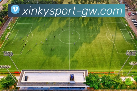 开元棋牌发展历程